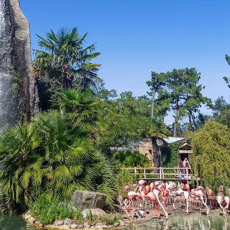 Amazing In * Meschers-sur-Gironde