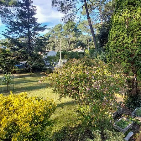 3 Bedroom Gorgeous In