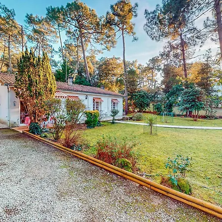 Amazing In Nyaraló *