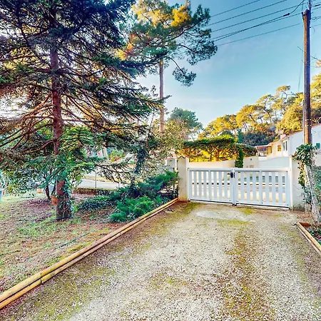 Nyaraló Amazing In *