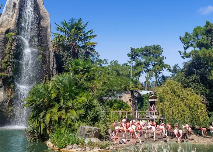 Amazing In * Meschers-sur-Gironde